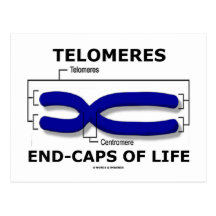 Telomeres Ende-Kappen des Lebens (Biologie-Spaß) Postkarten