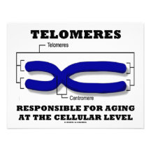 Telomeres verantwortlich für das Altern auf zellul Personalisierte Ankündigungskarten