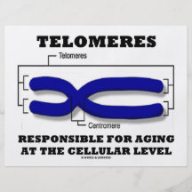 Telomeres verantwortlich für das Altern auf zellul Bedruckte Flyer