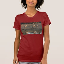 tests t-shirt