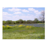 Texas-Landschaft Postkarten