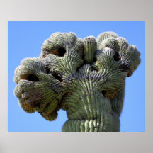 ~The Gordster~ Posterdrucke