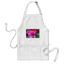 The solitary pink flower aprons