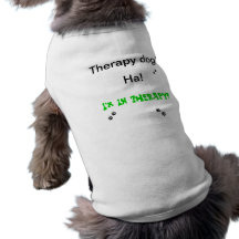 Therapie-Hund Haustierkleidung