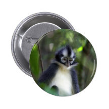 Thomas-Blattaffe Gunung Leuser Nationalpark Buttons