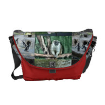 Tier-Rickshaw-Bote-Tasche Kurier Tasche