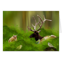 Tiere Karten