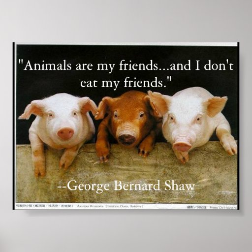 Tiere sind meine Freunde Plakate