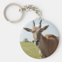 Tierhaltung Schlüsselband
