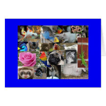 Tierische leere Karte