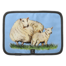 Tierplaner mit zwei Schafen