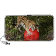 Tiger_Aroara040 Laptop Lautsprecher