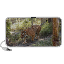 Tiger-Bengali 006 Mp3 Lautsprecher