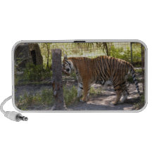 Tiger-Bengali 008 Mini Speaker