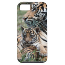 Tiger CUB iPhone 5 Hüllen