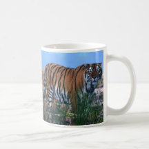 Tiger, der den Fluss schützt Tasse