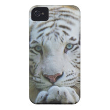 Tiger iphone Fall 4S iPhone 4 Hülle