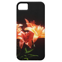 Tiger Lilies iPhone 5 Cover