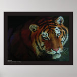 Tiger! Plakate