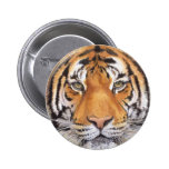"Tiger-Stelle" auf Weiß, Aquarell-Kunst Buttons