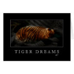 Tiger träumt Karte