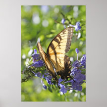 TigerFrack und Plumbago auf der Leinwand, vertikal Posterdrucke