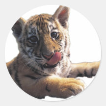 TigerTransparent Runder Aufkleber