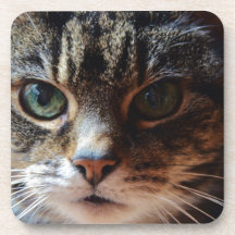 Tiggy. Getränk Untersetzer