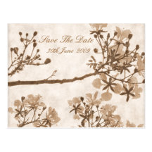 Timeless Bliss Save the Date Postkarten