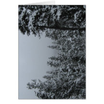 Tippy Spitze bei Vail Grußkarten