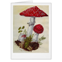 Toadstool Karte