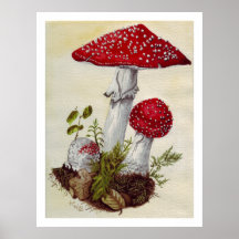Toadstool Posterdrucke