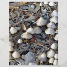 Toadstools, die auf Laubdecke wachsen Vollfarbige Flyer