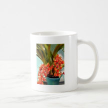 Topf Rost farbige Orchideen Teetassen