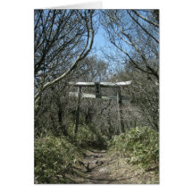 Torii-Unzendake-Nagasaki-Ken-NY Grußkarten