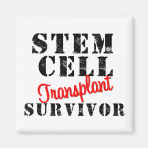 Transplantations-Überlebender - Stammzelle Magnete