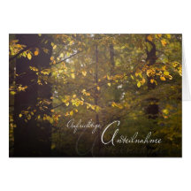 Trauermotiv: Herbstwald Grußkarten
