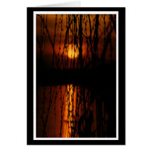 Trauerweide mit Sonnenuntergang 1 Karte