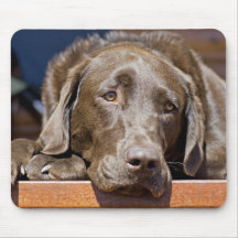 Trauriger Schokoladen-Labrador Mauspads