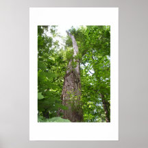 Tree.02 Plakat