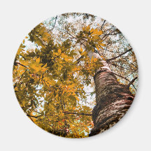 tree-2 kühlschrankmagnet