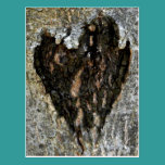 Treebark Herz postkarten