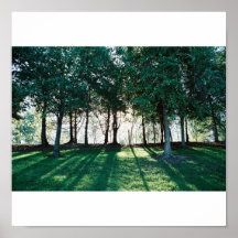 Treeline Posterdrucke