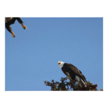 Treten Sie nicht auf mir Photos