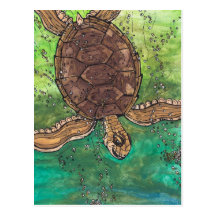 Trevor die Schildkröte-Postkarte