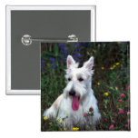 Trillium, Scottish Terrier (weiß) Anstecknadelbuttons