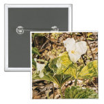 Trilliums Button