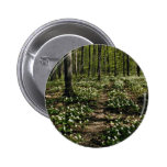 Trilliums, Morgan-Arboretum, Rot Montreals, Quebec Button