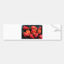 Trinidad-Skorpions-heißeste Paprikas Auto Sticker