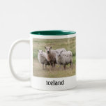 Trio der Schafe in Island Kaffee Haferl